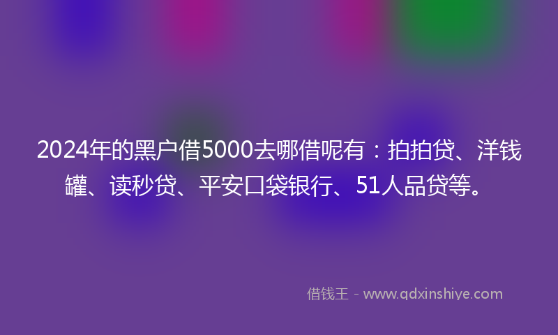 2024年的黑户借5000去哪借呢有：拍拍贷、洋钱罐、读秒贷、平安口袋银行、51人品贷等。