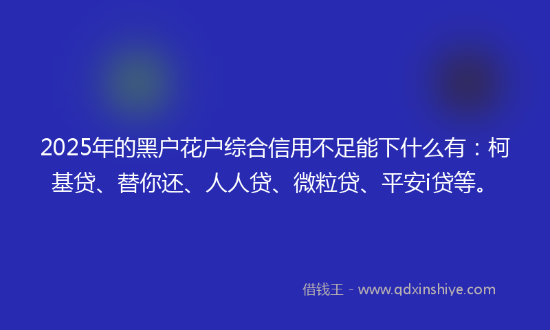 2025年的黑户花户综合信用不足能下什么有：柯基贷、替你还、人人贷、微粒贷、平安i贷等。