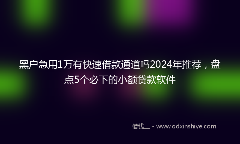 黑户急用1万有快速借款通道吗2024年推荐，盘点5个必下的小额贷款软件