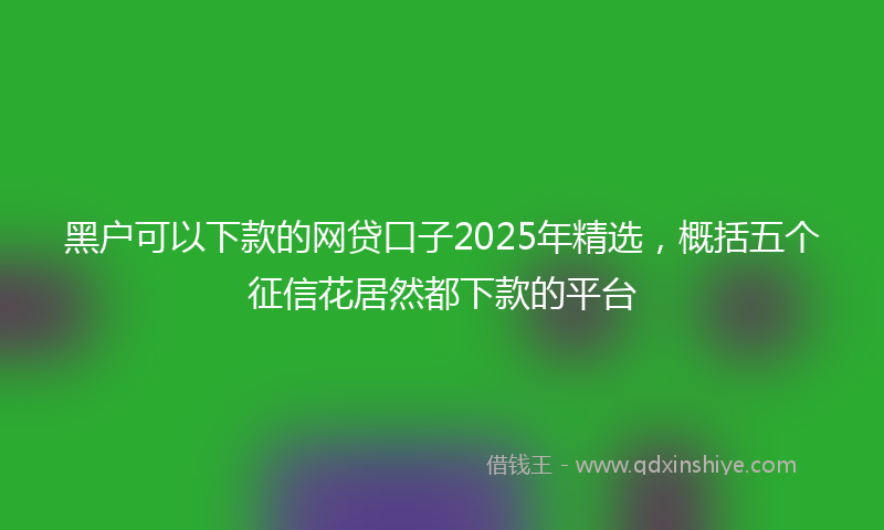 黑户可以下款的网贷口子2025年精选，概括五个征信花居然都下款的平台