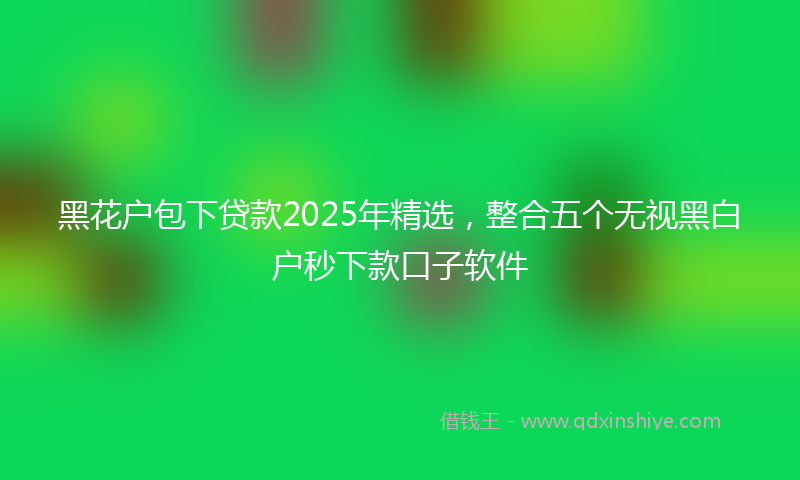 黑花户包下贷款2025年精选，整合五个无视黑白户秒下款口子软件