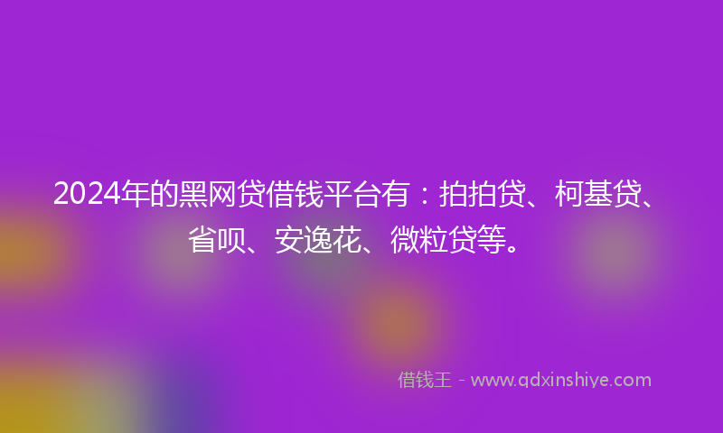2024年的黑网贷借钱平台有：拍拍贷、柯基贷、省呗、安逸花、微粒贷等。