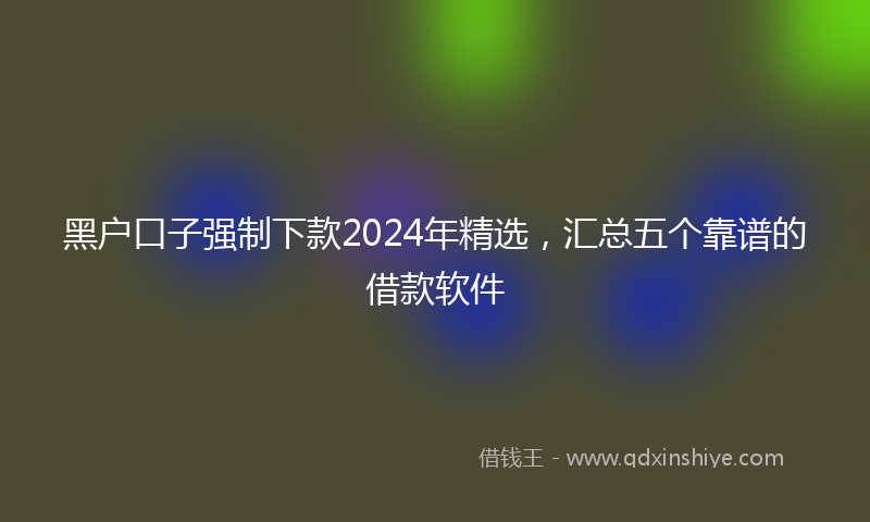 黑户口子强制下款2024年精选，汇总五个靠谱的借款软件
