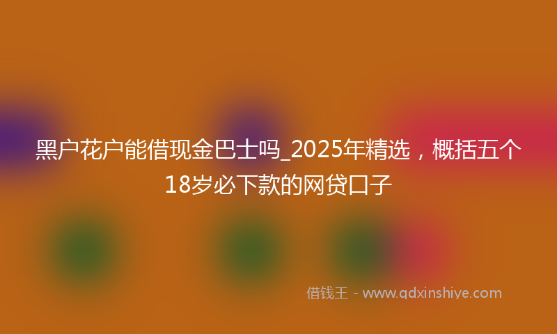 黑户花户能借现金巴士吗_2025年精选，概括五个18岁必下款的网贷口子