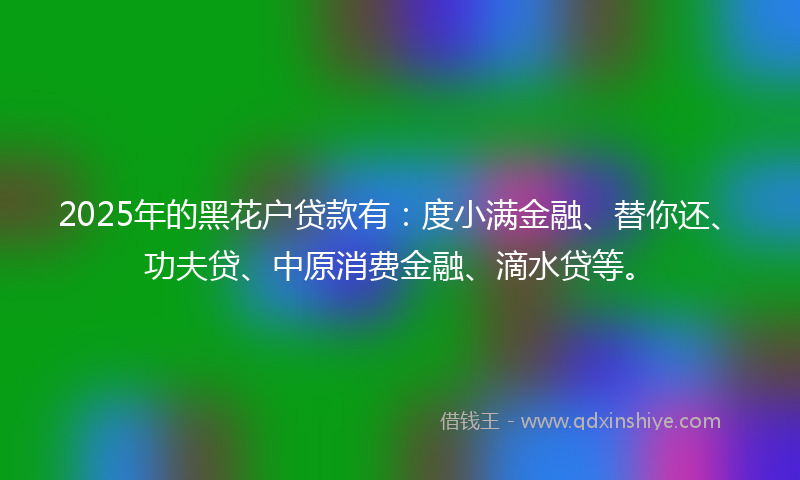 2025年的黑花户贷款有：度小满金融、替你还、功夫贷、中原消费金融、滴水贷等。