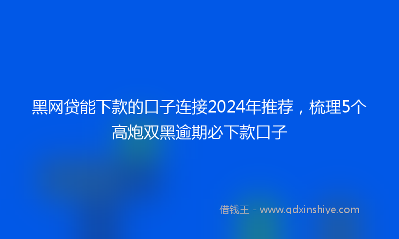 黑网贷能下款的口子连接2024年推荐，梳理5个高炮双黑逾期必下款口子