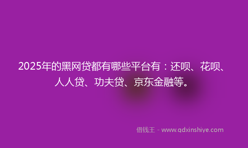 2025年的黑网贷都有哪些平台有：还呗、花呗、人人贷、功夫贷、京东金融等。