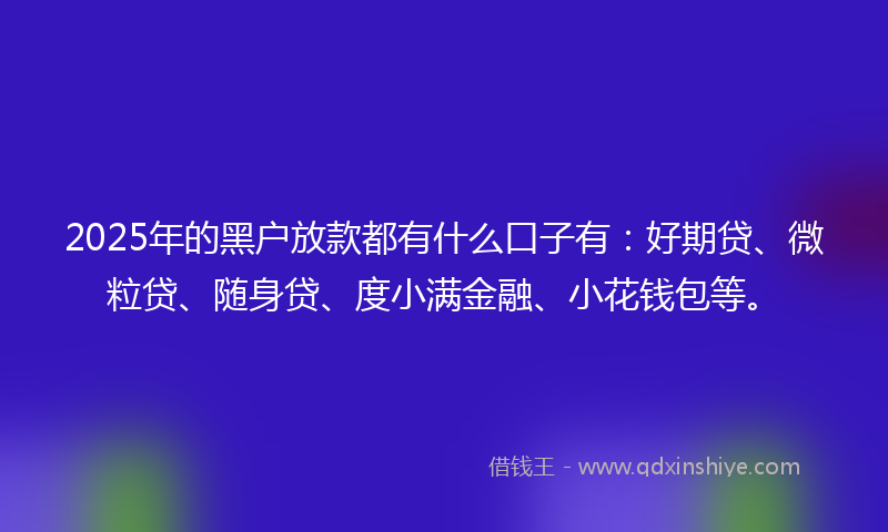 2025年的黑户放款都有什么口子有：好期贷、微粒贷、随身贷、度小满金融、小花钱包等。