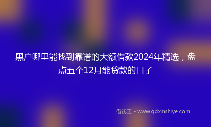 黑户哪里能找到靠谱的大额借款2024年精选，盘点五个12月能贷款的口子