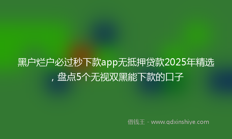 黑户烂户必过秒下款app无抵押贷款2025年精选，盘点5个无视双黑能下款的口子