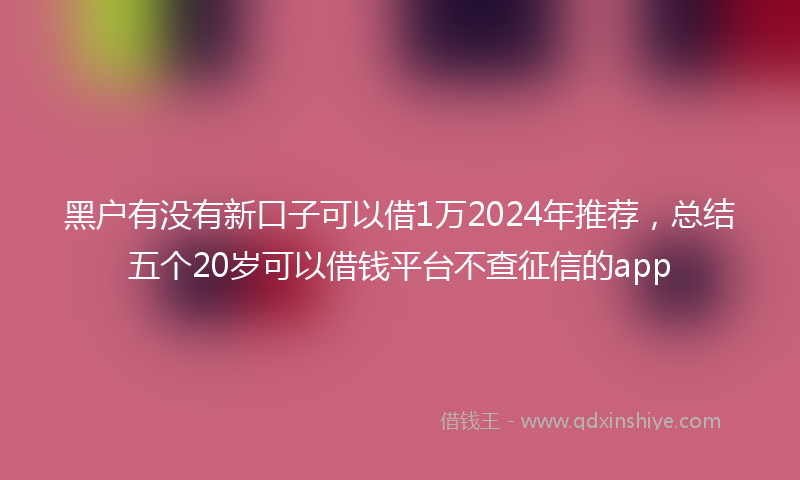 黑户有没有新口子可以借1万2024年推荐，总结五个20岁可以借钱平台不查征信的app