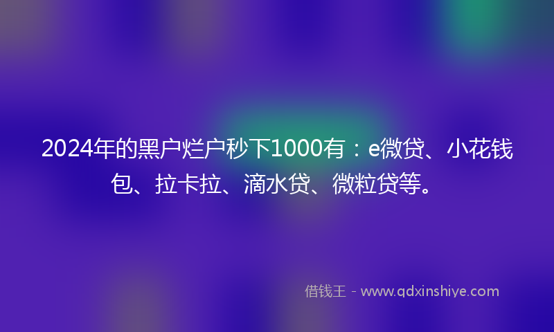 2024年的黑户烂户秒下1000有：e微贷、小花钱包、拉卡拉、滴水贷、微粒贷等。
