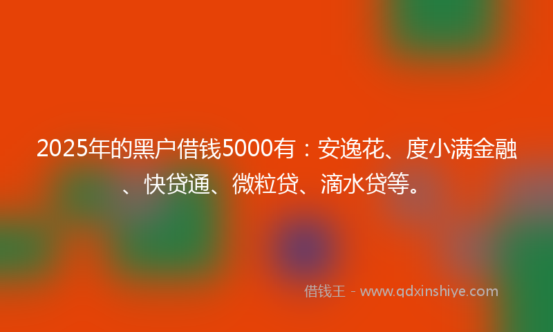 2025年的黑户借钱5000有：安逸花、度小满金融、快贷通、微粒贷、滴水贷等。