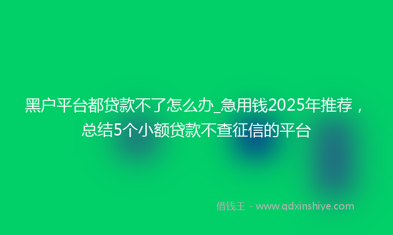 黑户平台都贷款不了怎么办_急用钱2025年推荐，总结5个小额贷款不查征信的平台