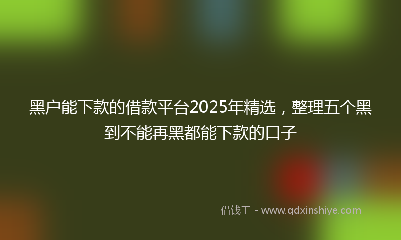 黑户能下款的借款平台2025年精选，整理五个黑到不能再黑都能下款的口子