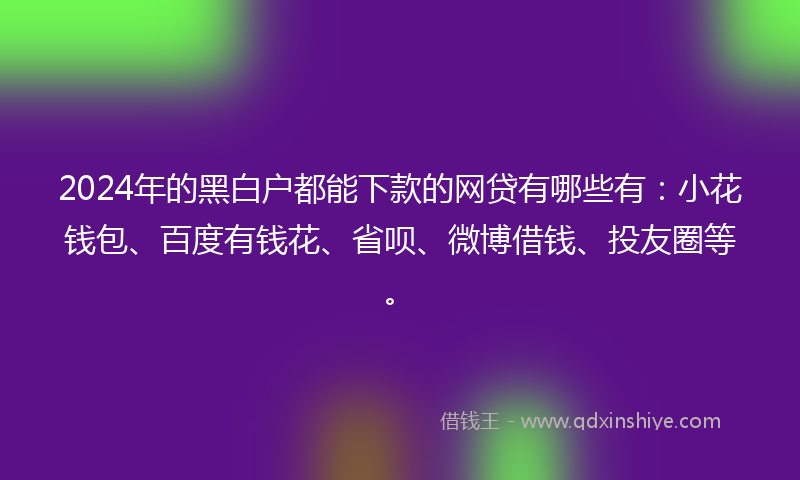 2024年的黑白户都能下款的网贷有哪些有：小花钱包、百度有钱花、省呗、微博借钱、投友圈等。