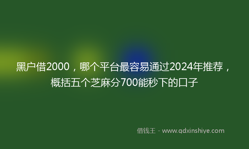 黑户借2000，哪个平台最容易通过2024年推荐，概括五个芝麻分700能秒下的口子