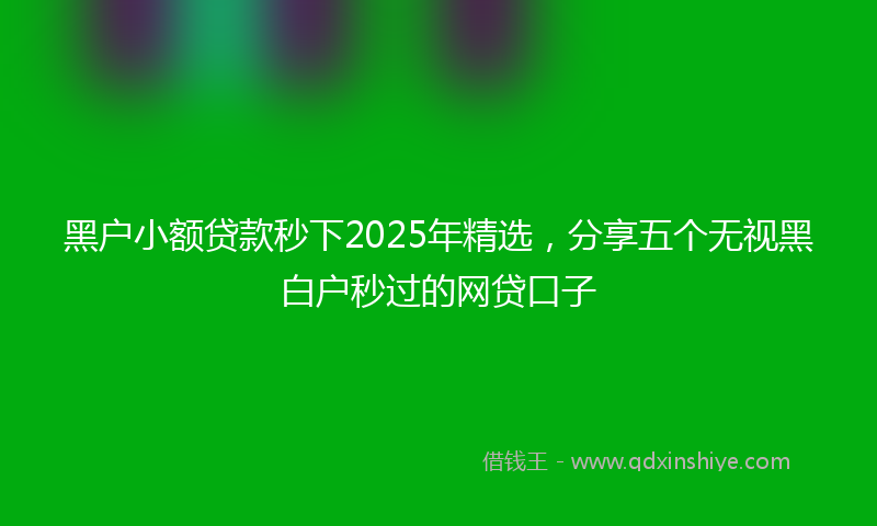 黑户小额贷款秒下2025年精选，分享五个无视黑白户秒过的网贷口子
