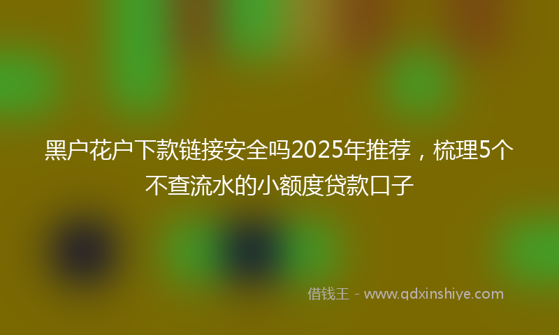 黑户花户下款链接安全吗2025年推荐，梳理5个不查流水的小额度贷款口子