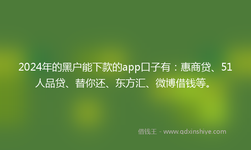 2024年的黑户能下款的app口子有：惠商贷、51人品贷、替你还、东方汇、微博借钱等。