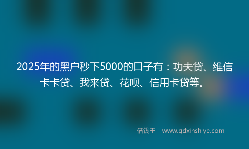 2025年的黑户秒下5000的口子有：功夫贷、维信卡卡贷、我来贷、花呗、信用卡贷等。