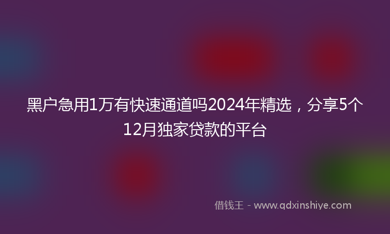 黑户急用1万有快速通道吗2024年精选，分享5个12月独家贷款的平台