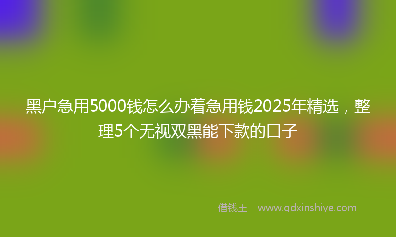 黑户急用5000钱怎么办着急用钱2025年精选，整理5个无视双黑能下款的口子