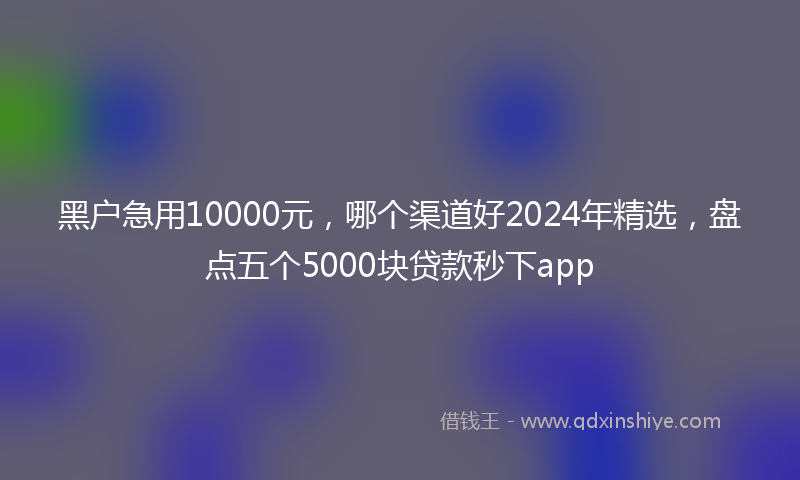 黑户急用10000元，哪个渠道好2024年精选，盘点五个5000块贷款秒下app