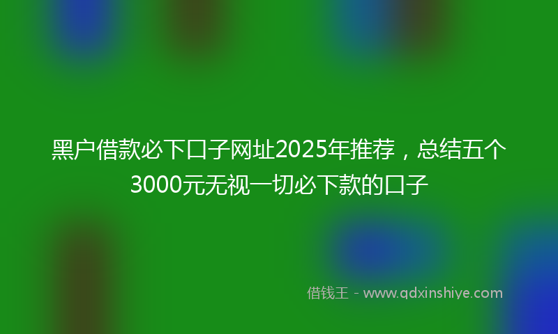 黑户借款必下口子网址2025年推荐，总结五个3000元无视一切必下款的口子