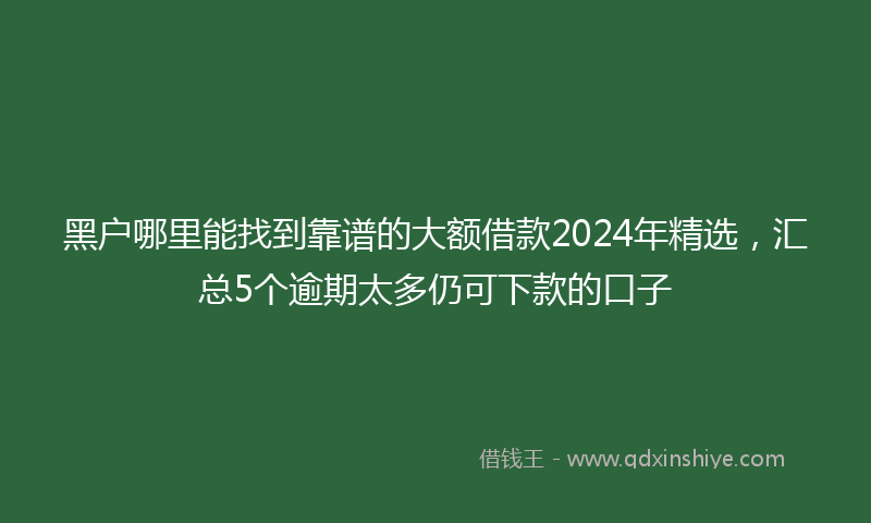 黑户哪里能找到靠谱的大额借款2024年精选，汇总5个逾期太多仍可下款的口子