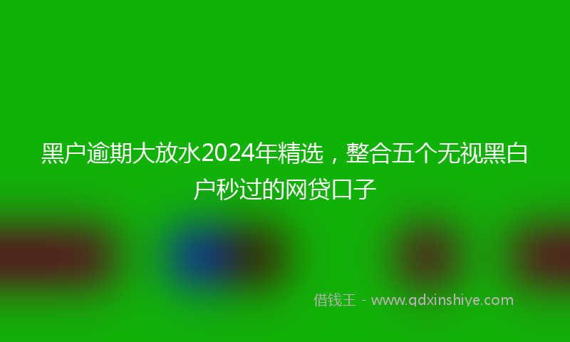 黑户逾期大放水2024年精选，整合五个无视黑白户秒过的网贷口子