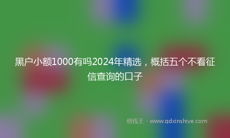 黑户小额1000有吗2024年精选，概括五个不看征信查询的口子