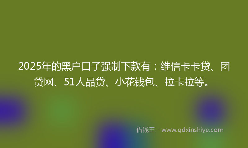 2025年的黑户口子强制下款有：维信卡卡贷、团贷网、51人品贷、小花钱包、拉卡拉等。