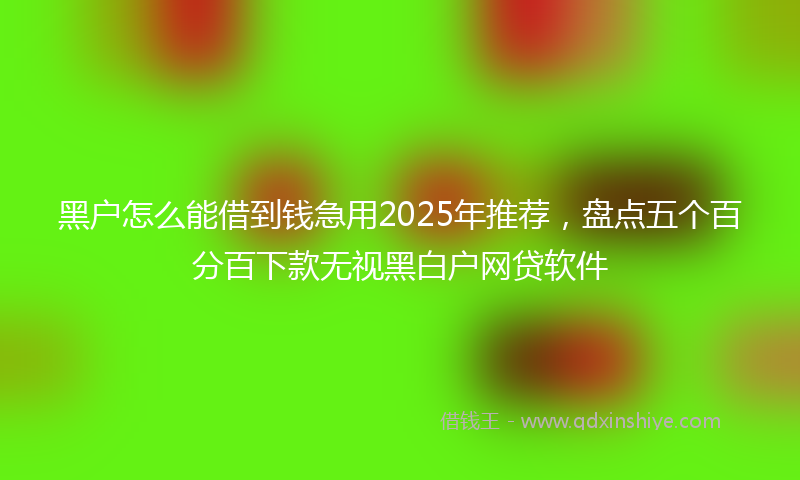 黑户怎么能借到钱急用2025年推荐，盘点五个百分百下款无视黑白户网贷软件