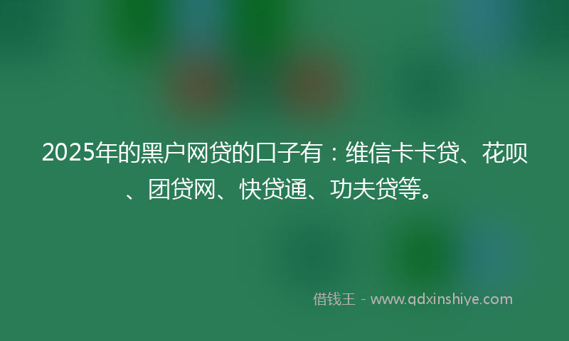 2025年的黑户网贷的口子有：维信卡卡贷、花呗、团贷网、快贷通、功夫贷等。