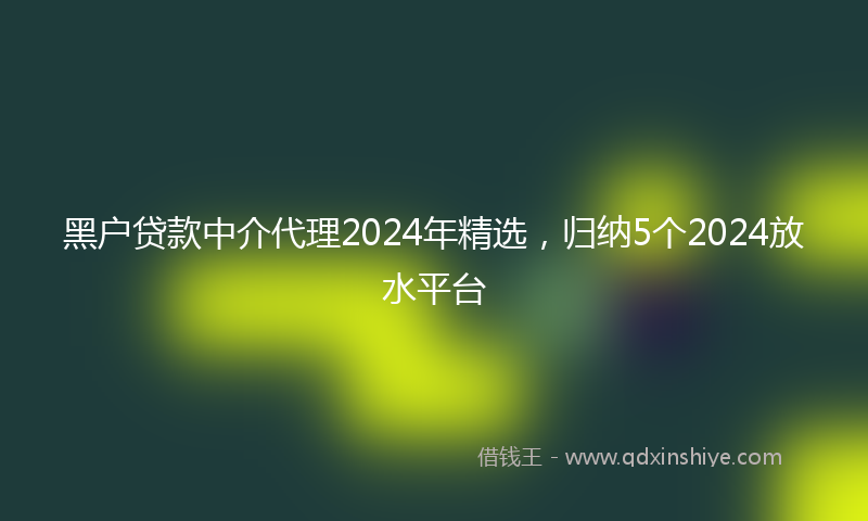黑户贷款中介代理2024年精选，归纳5个2024放水平台