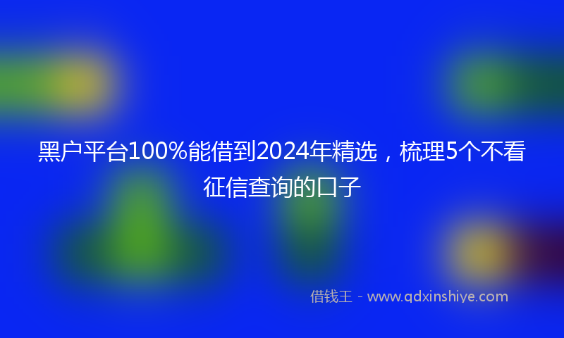 黑户平台100%能借到2024年精选，梳理5个不看征信查询的口子