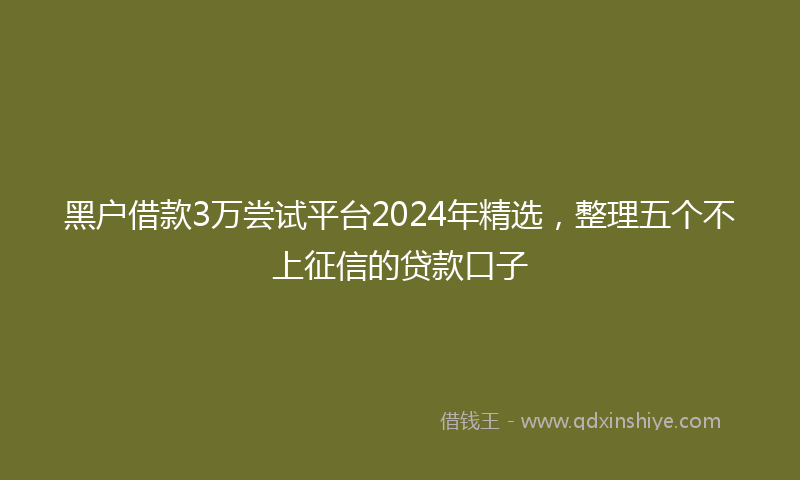 黑户借款3万尝试平台2024年精选，整理五个不上征信的贷款口子