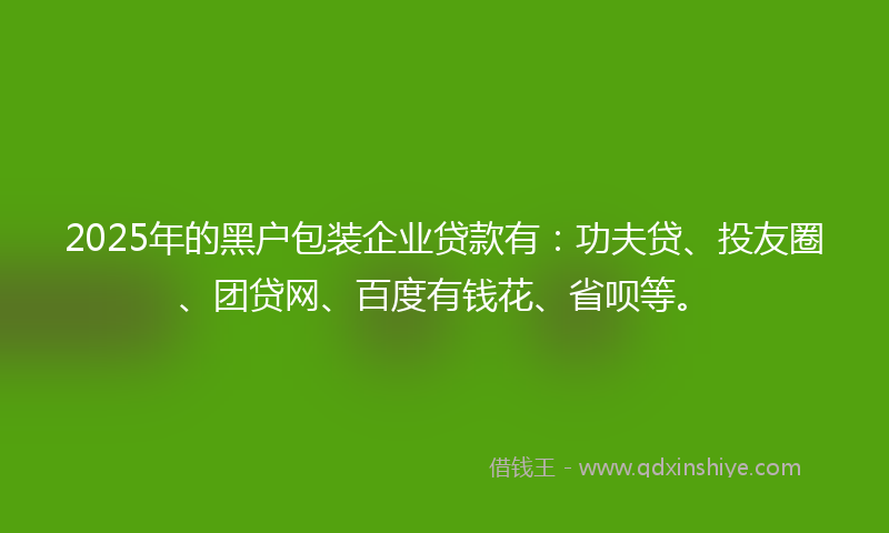 2025年的黑户包装企业贷款有：功夫贷、投友圈、团贷网、百度有钱花、省呗等。