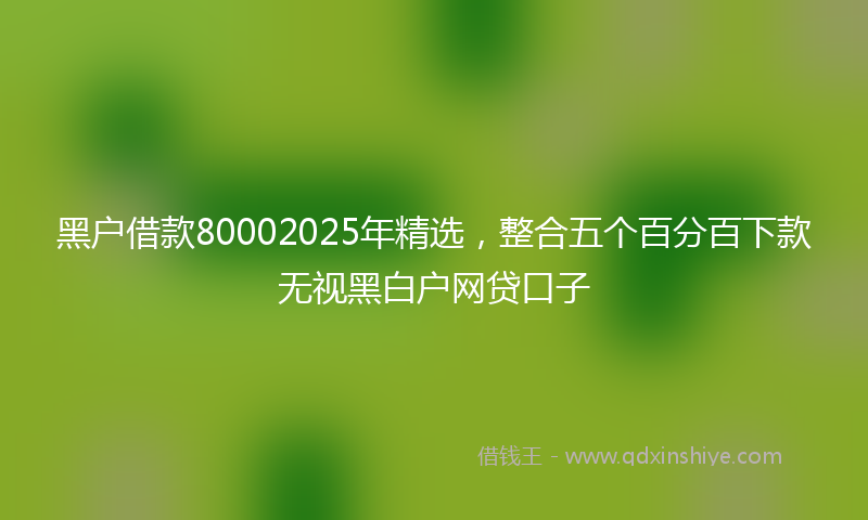 黑户借款80002025年精选，整合五个百分百下款无视黑白户网贷口子