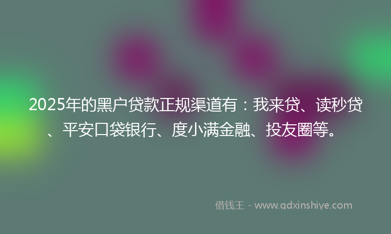 2025年的黑户贷款正规渠道有：我来贷、读秒贷、平安口袋银行、度小满金融、投友圈等。