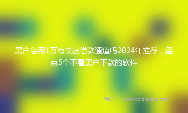 黑户急用1万有快速借款通道吗2024年推荐，盘点5个不看黑户下款的软件