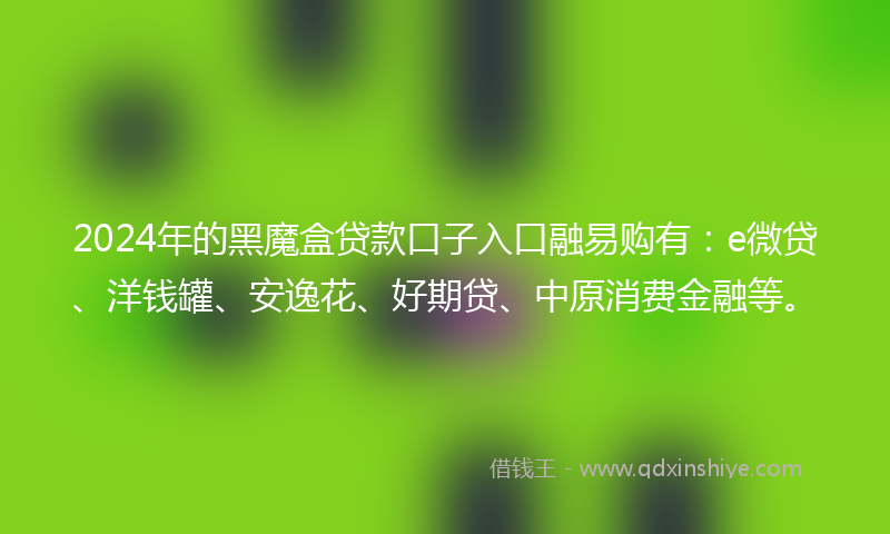 2024年的黑魔盒贷款口子入口融易购有：e微贷、洋钱罐、安逸花、好期贷、中原消费金融等。