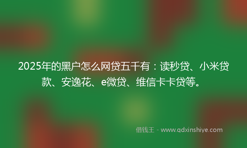 2025年的黑户怎么网贷五千有：读秒贷、小米贷款、安逸花、e微贷、维信卡卡贷等。