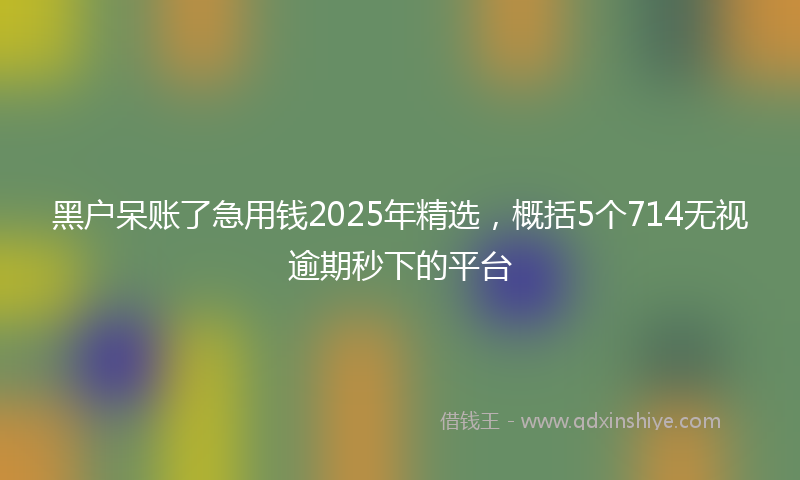 黑户呆账了急用钱2025年精选，概括5个714无视逾期秒下的平台