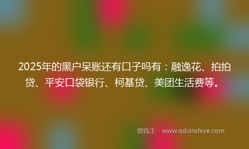 2025年的黑户呆账还有口子吗有：融逸花、拍拍贷、平安口袋银行、柯基贷、美团生活费等。