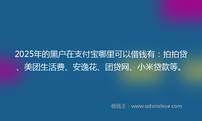 2025年的黑户在支付宝哪里可以借钱有：拍拍贷、美团生活费、安逸花、团贷网、小米贷款等。