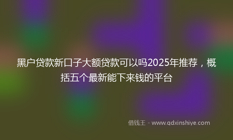 黑户贷款新口子大额贷款可以吗2025年推荐，概括五个最新能下来钱的平台