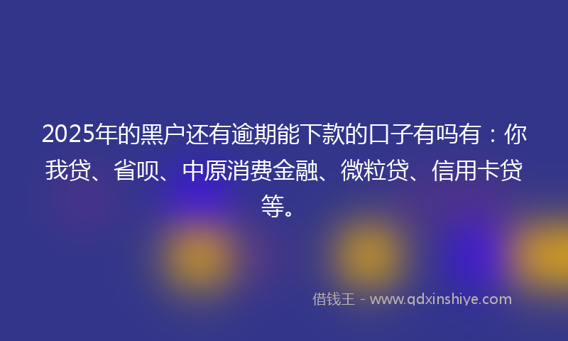 2025年的黑户还有逾期能下款的口子有吗有：你我贷、省呗、中原消费金融、微粒贷、信用卡贷等。