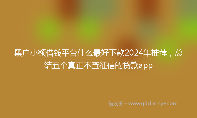 黑户小额借钱平台什么最好下款2024年推荐，总结五个真正不查征信的贷款app